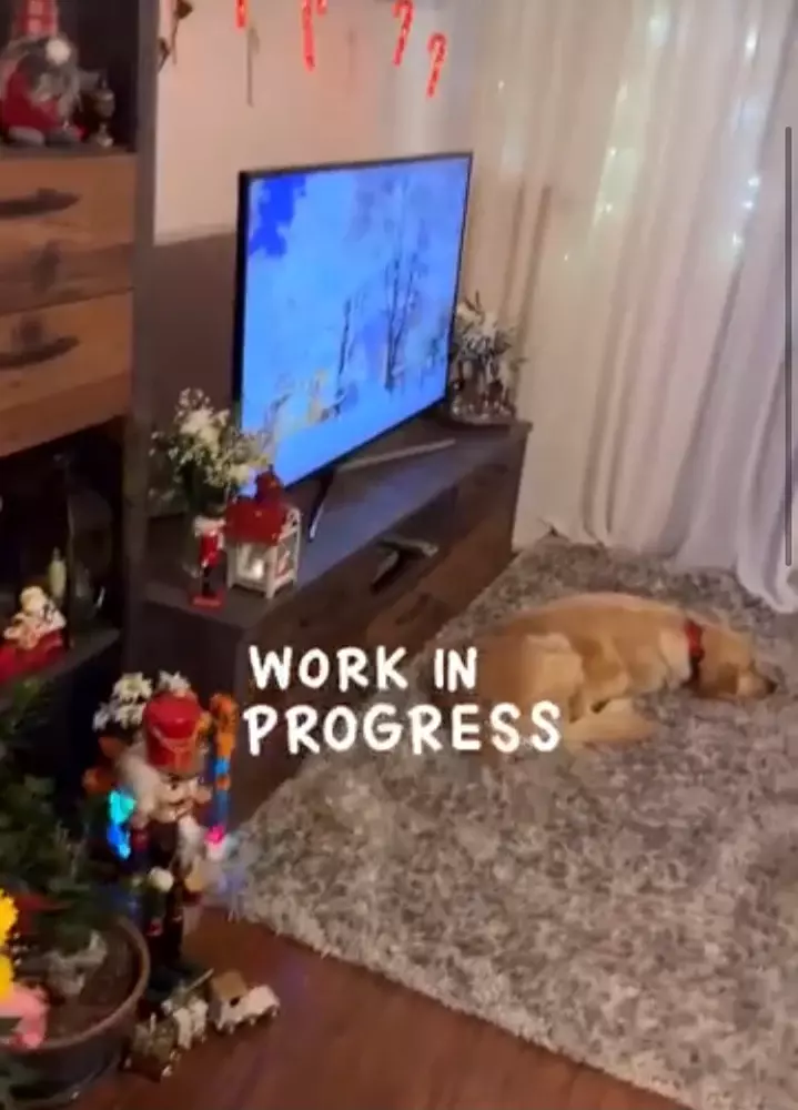 ioana-ginghina-casa2