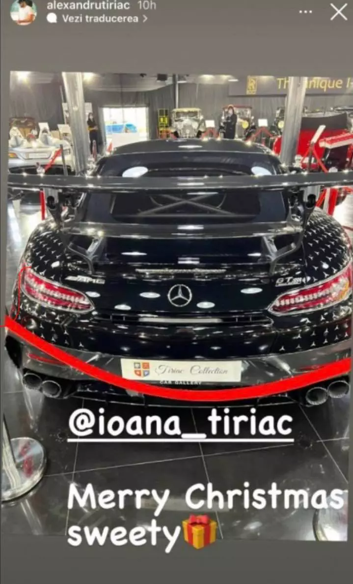 Cadoul lui Tiriac pentru fiica sa