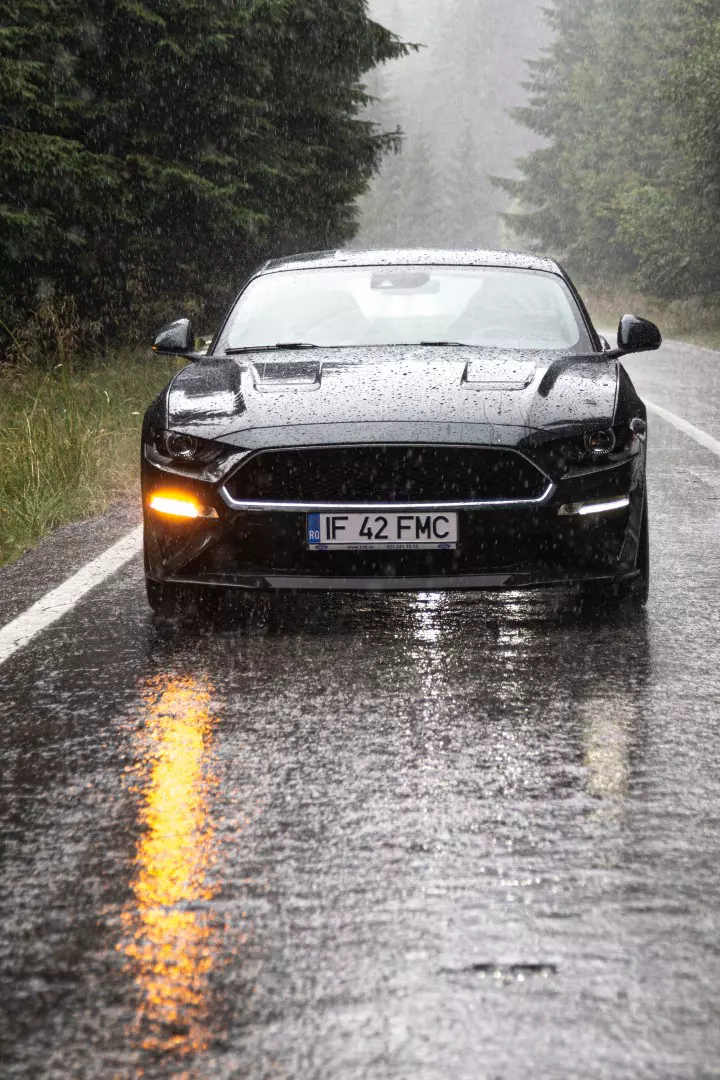 Ford Mustang Bullitt 112