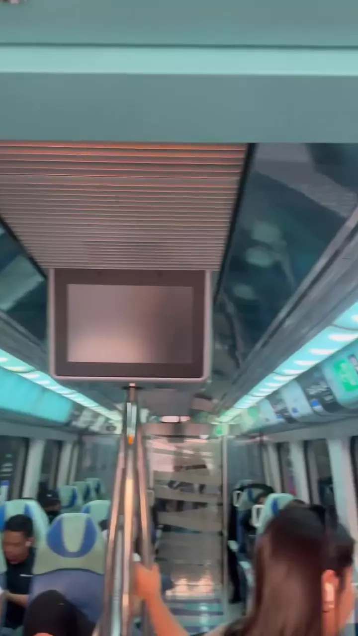 metroul din Dubai Iulia Vântur