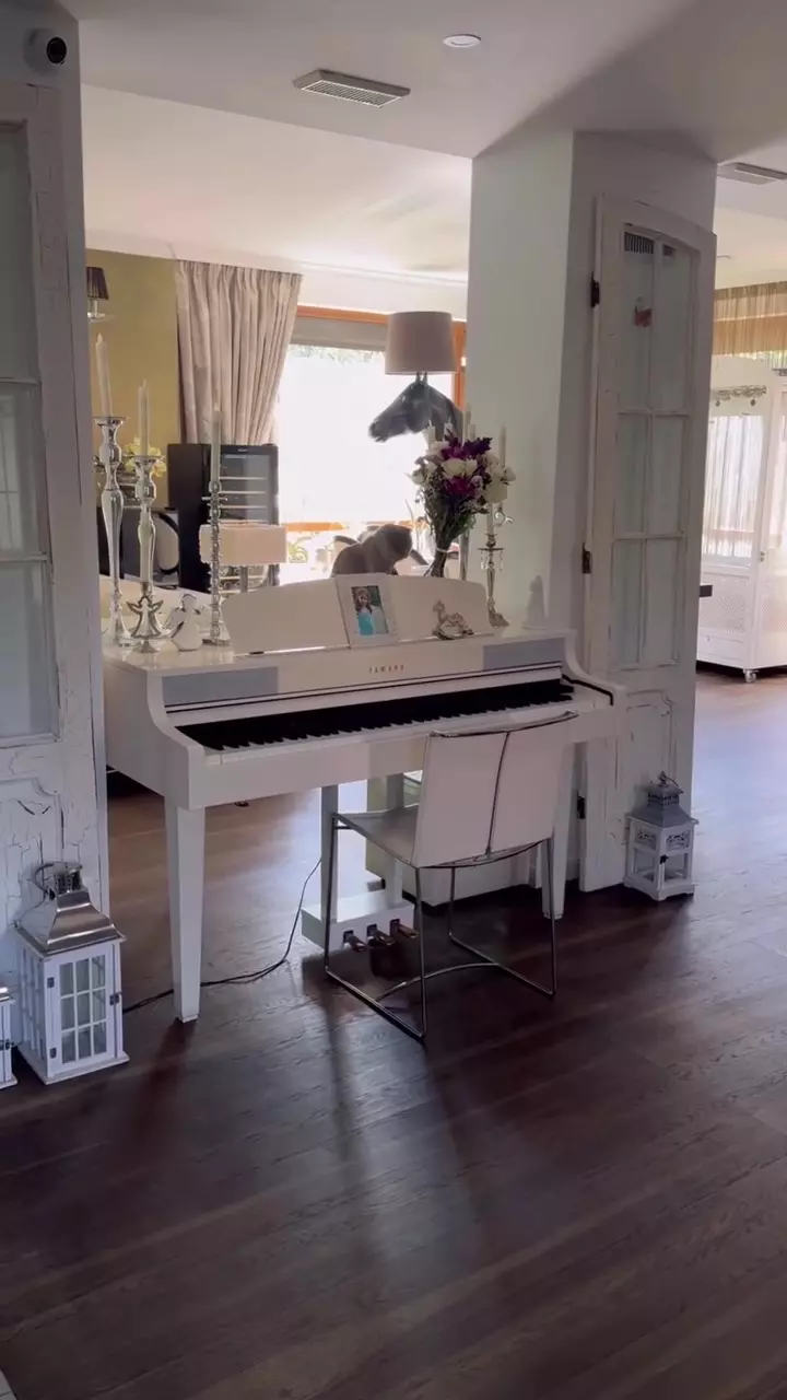 Living casa Andreea Marin (1)