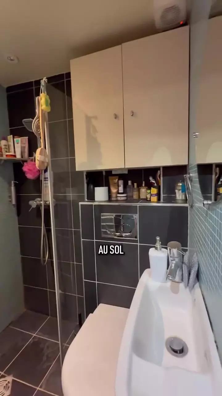 garsonieră 9 metri patrati paris 500 euro luna (4)