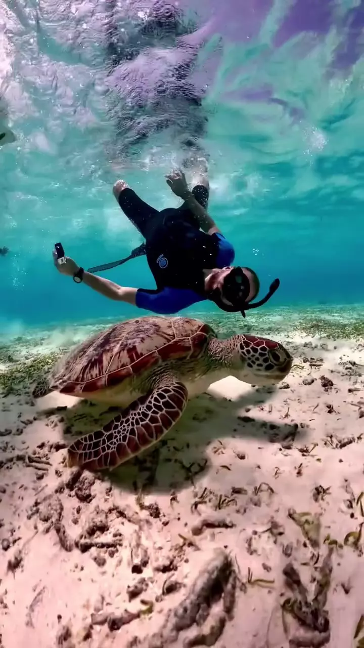 Marius Moldovan în Maldive, ianuarie 2025 (1)