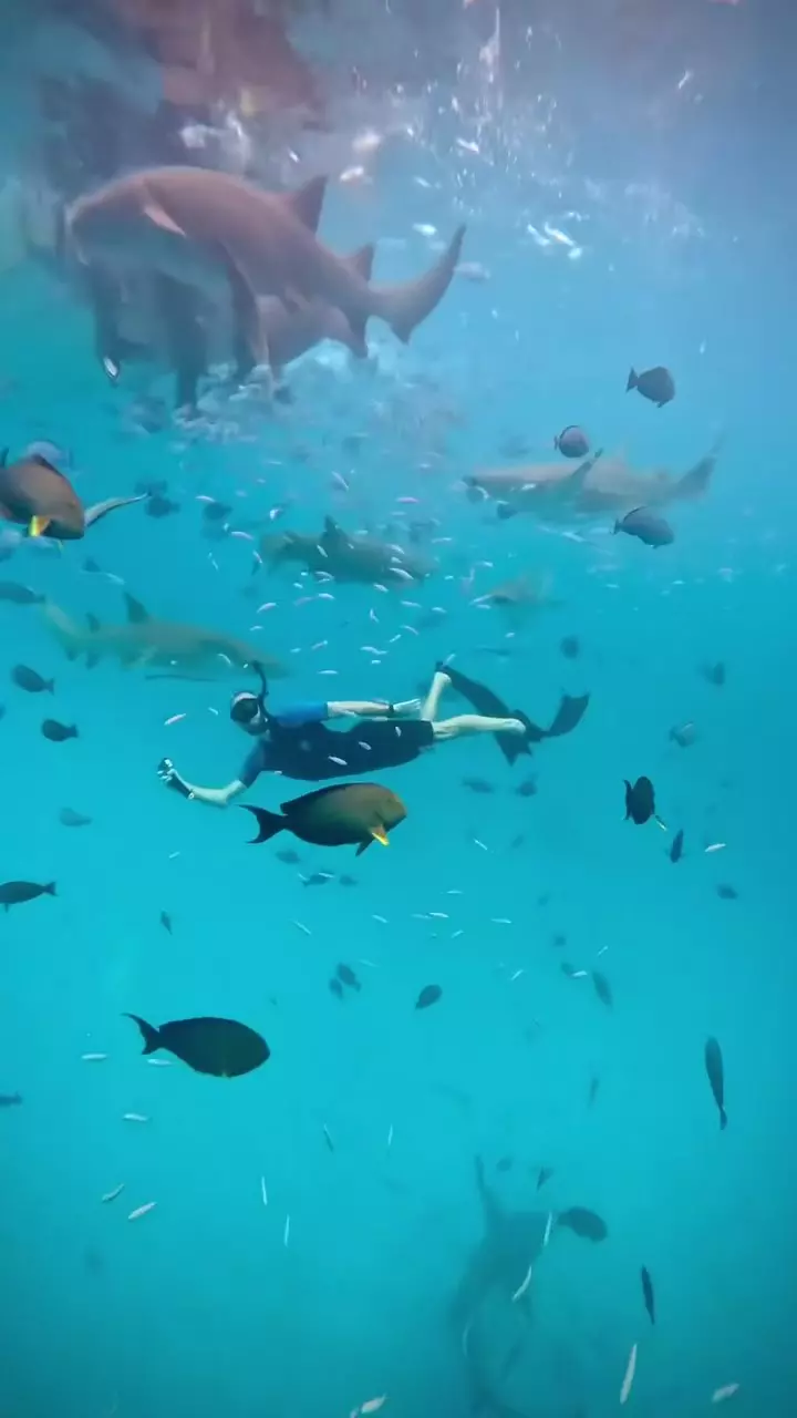 Marius Moldovan în Maldive, ianuarie 2025 (2)