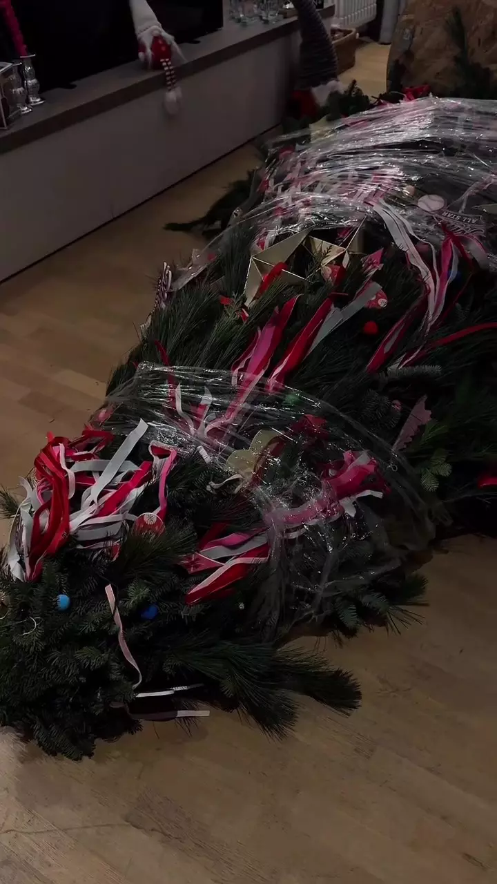 Brad Alexia Eram (8)