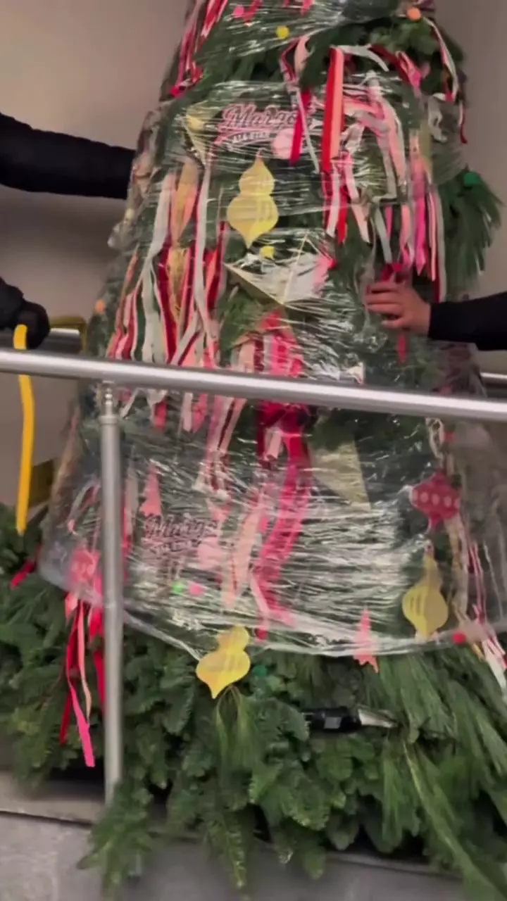 Brad Alexia Eram (9)