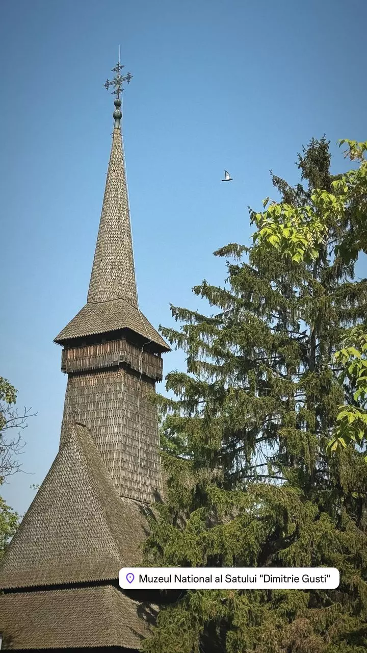 WhatsApp Image 2024-09-05 at 13.02.51 (1)