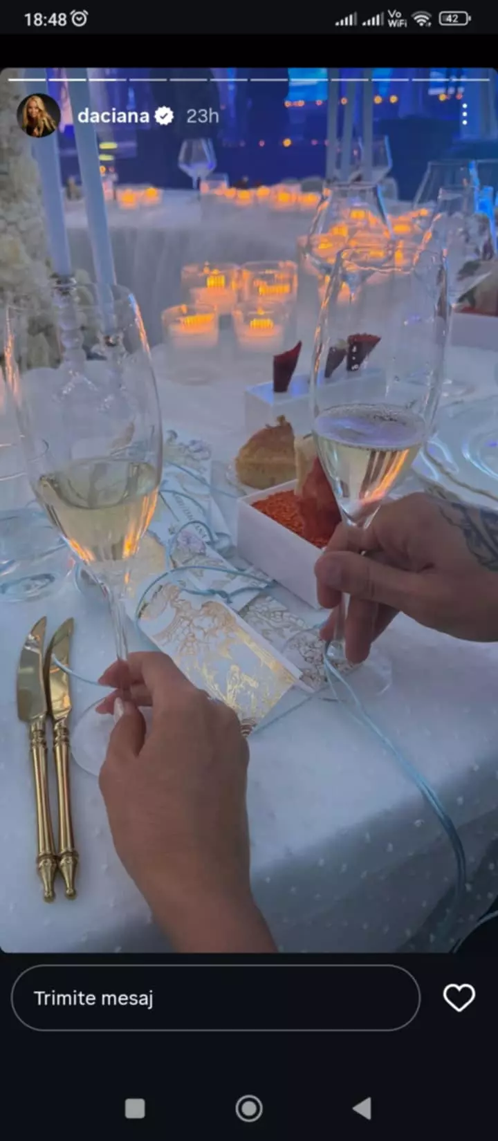 daciana sarbu la un eveniment monden (6)