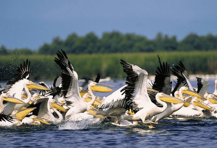 (P) Zile de vară cu distracție și voie bună, în Skiathos
