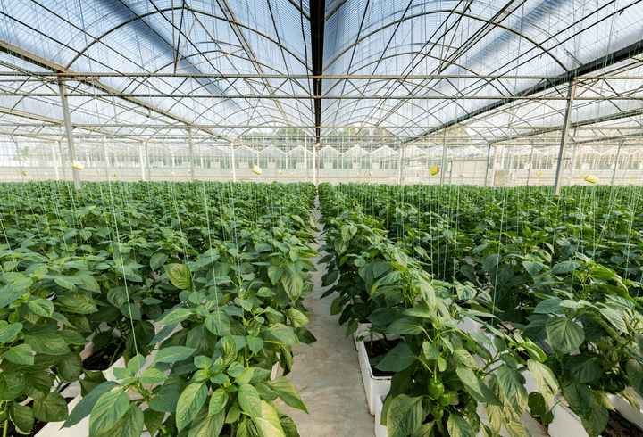 Radu Vâlcan și Dan Bordeianu s-au întâlnit. Cum au reacționat și ce și-au spus cei doi