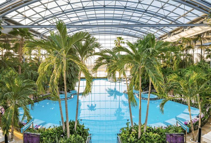 Cum să rămâi sănătoasă și activă la menopauză