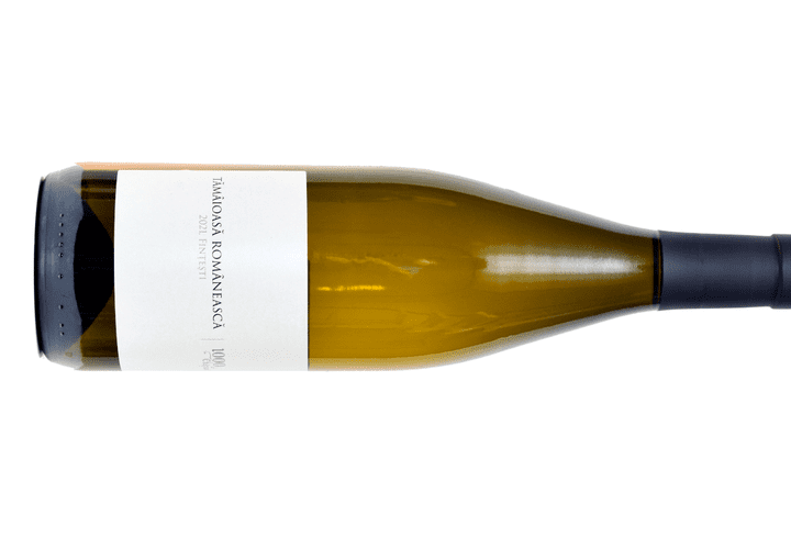 Se mai poartă sandalele în 2022? Află care sunt cele mai bune modele  de avut ￼