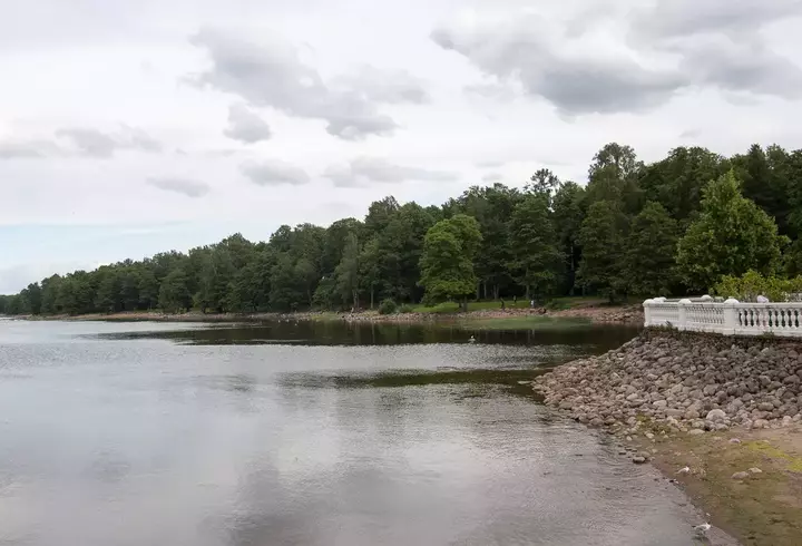 Sofia Vicoveanca, detalii neștiute despre întâlnirea cu Anthony Quinn: „Și acum regret că nu m-am dus să-i spun că sunt româncă”