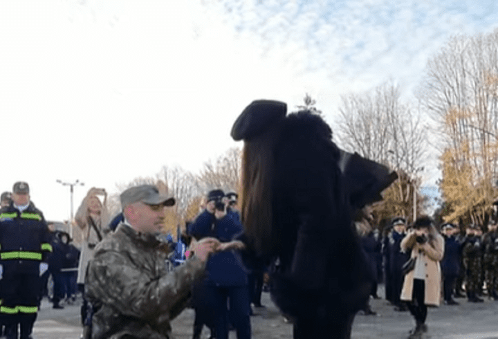 De ce nu a plecat Andreea Raicu din România. A vrut de multe ori să se mute: ”Mă minunez de fiecare dată”