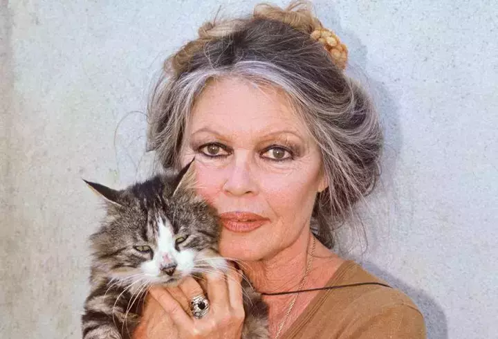 brigitte-bardot-intro