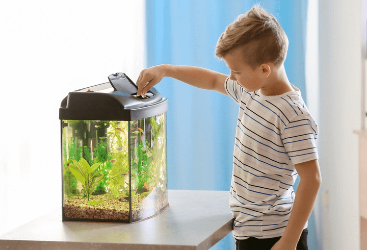 „LACUL LEBEDELOR,” simbol al baletului romantic, pe 2 februarie 2026 la Sala Palatului cu Ukrainian Classical Ballet