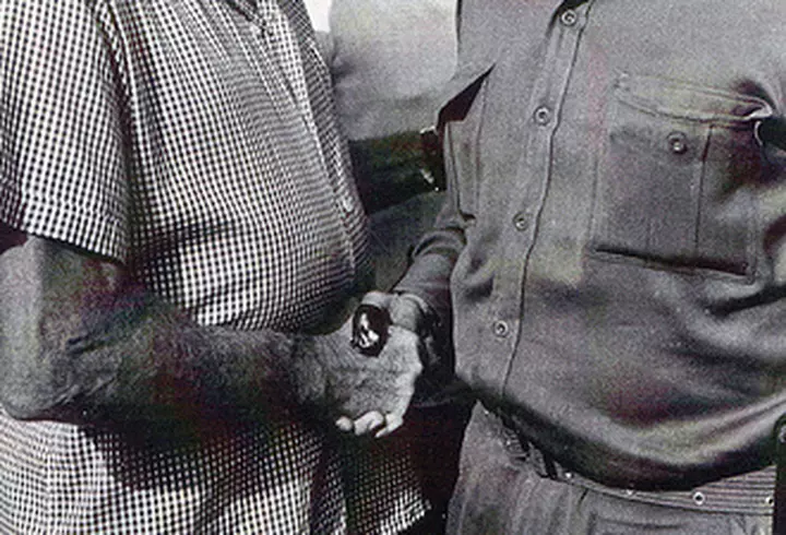 Soiree gastronomie francaise – “Madame Mallory si micul bucatar indian”