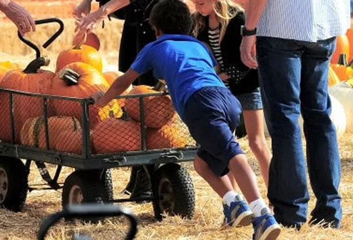 Trupa Vunk, doua piese noi in Garaj