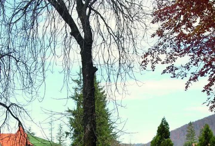 Delia - Vacanţă cu peripeţii în Thailanda