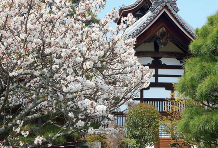 Tenerife, paradisul iubitorilor de soare