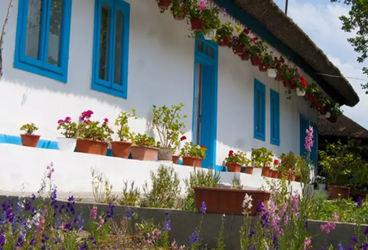 Tenerife, paradisul iubitorilor de soare