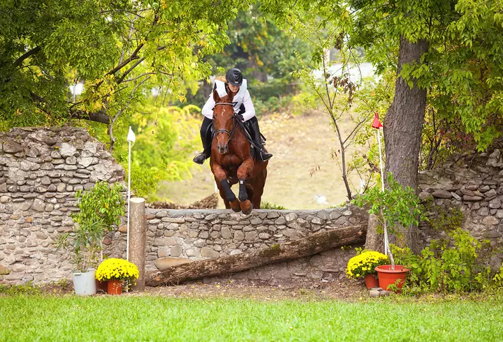 (P) Evitarea nebuniei de Black Friday - 6 sfaturi de la retailerii de succes