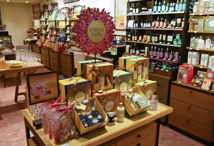 Micul violonist de azi, marele artist de mâine