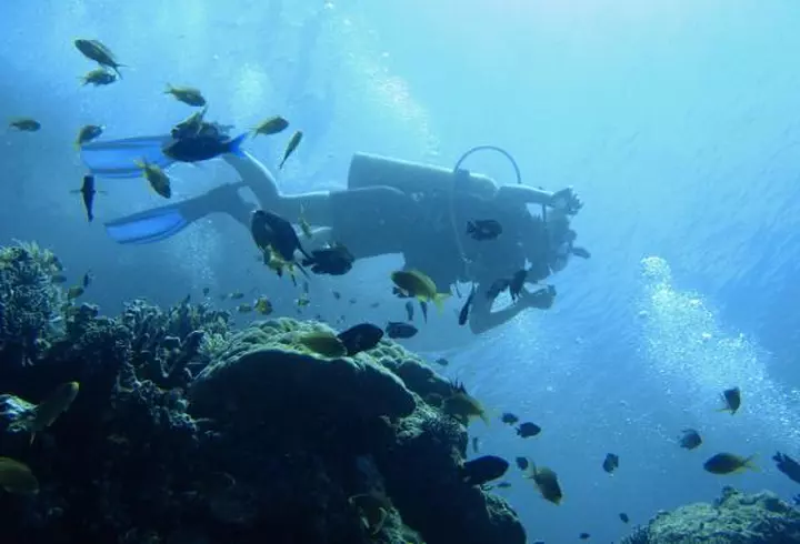 (P) Insula Creta, o muză a poeţilor şi gânditorilor greci