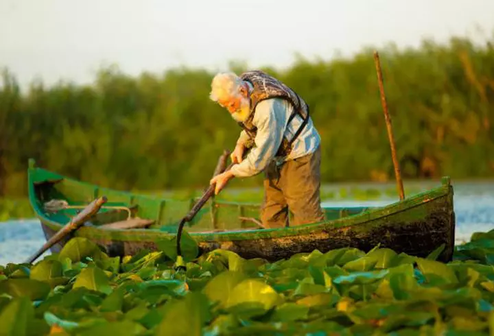 (P) Biletele la Art Safari pot fi cumpărate la jumătate de preț până pe 5 mai