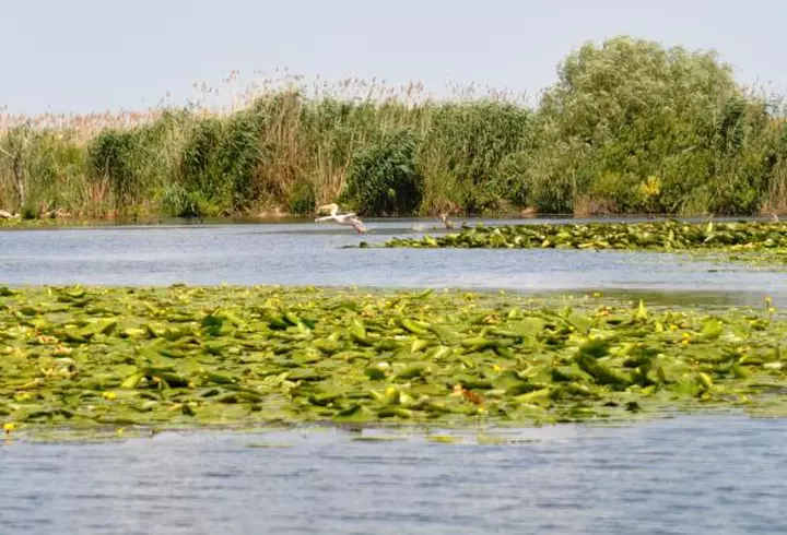(P) Un loc cu aer exotic la ”doi pași” de București!