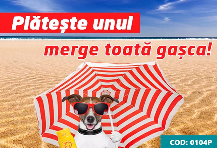 (P) Biletele la Art Safari pot fi cumpărate la jumătate de preț până pe 5 mai