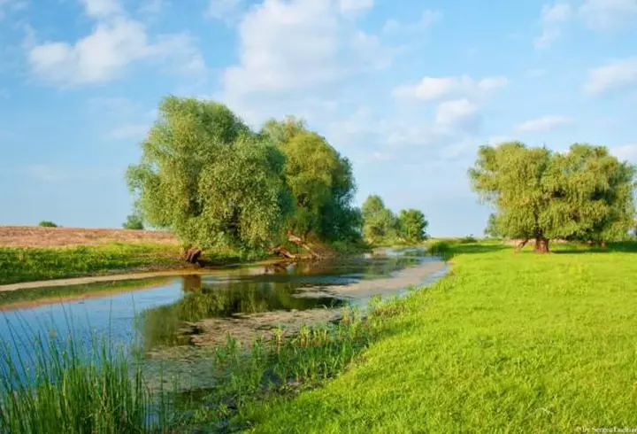 (P) Biletele la Art Safari pot fi cumpărate la jumătate de preț până pe 5 mai