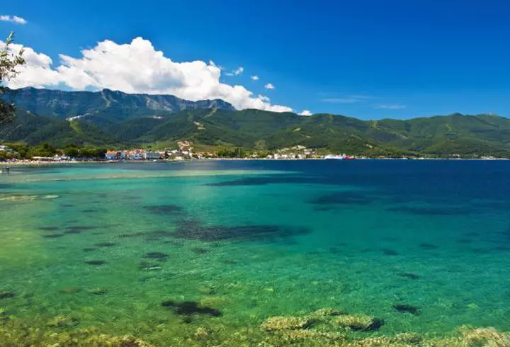 (P) Biletele la Art Safari pot fi cumpărate la jumătate de preț până pe 5 mai