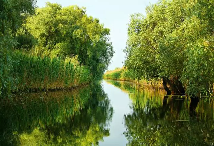 (P) Biletele la Art Safari pot fi cumpărate la jumătate de preț până pe 5 mai