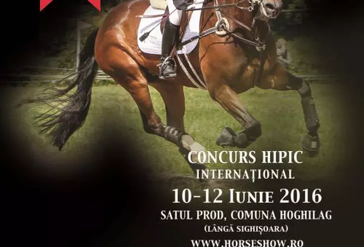 (P) Chania, orașul cu iz venețian