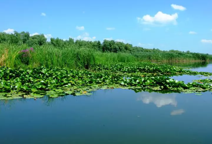 (P) Chania, orașul cu iz venețian