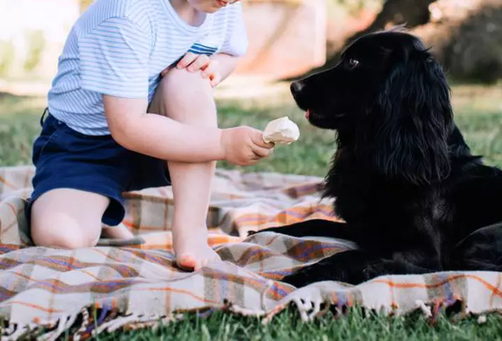 Lora si Connect-R prezintă premiile industriei muzicale româneşti - VIDEO