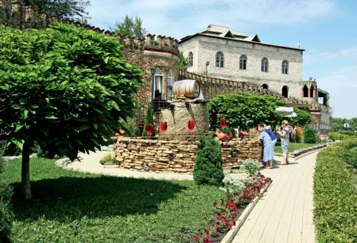 Cum a evoluat modul vedetelor de a-şi face selfie