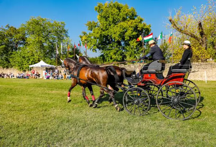 Secretul din casa Cătălinei Grama (Jojo)