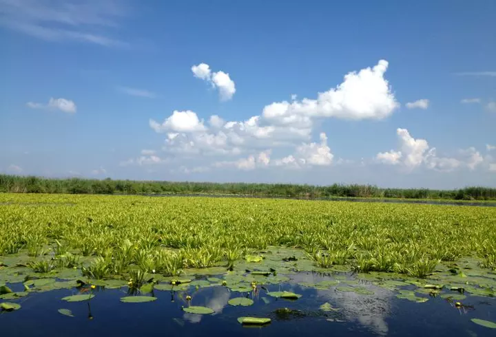 Agenda săptămânii 20-26 februarie