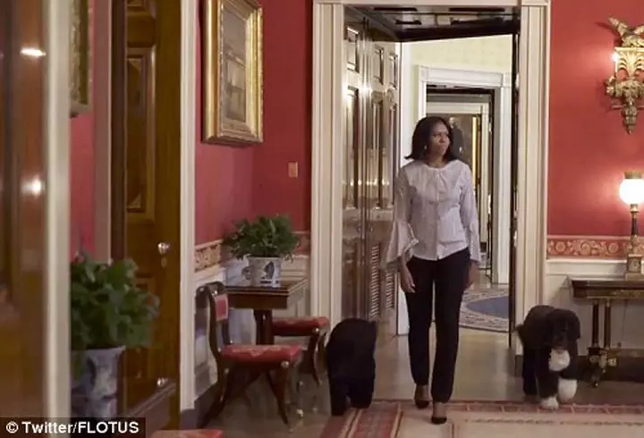 Surpriză exotică pentru Anca Țurcașiu! Vezi ce eveniment sărbătorește cântăreața departe de casă!