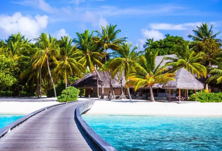 Agenda săptămânii 20-26 februarie