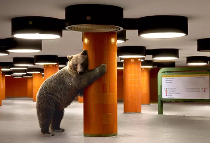 Liviu Teodorescu şi Dorian Popa sunt terorizaţi de fane