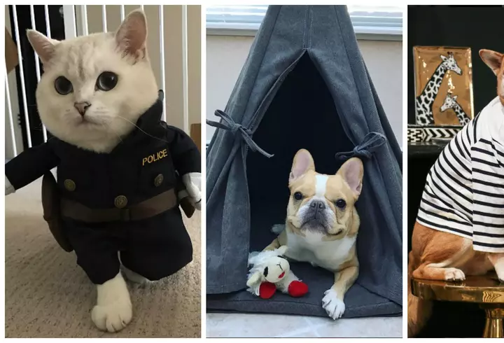 Agenda săptămânii 20-26 februarie