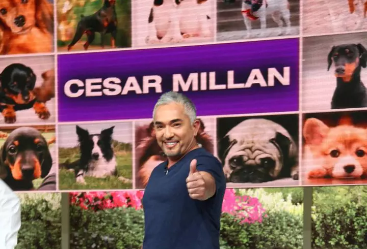 Robert Downey Jr. va fi noul Doctor Dolittle