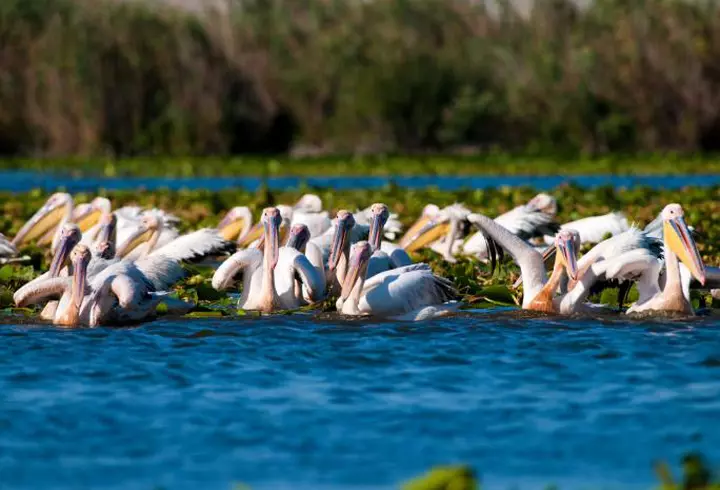 Studiu eJobs: Cum vor petrece angajații români minivacanța de 1 mai