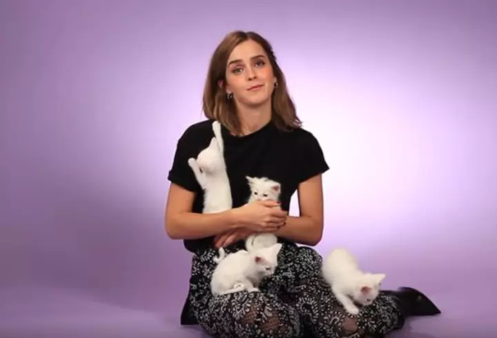 Cesar Milan a venit pentru prima dată în România. Iată ce a spus celebrul antrenor și psiholog canin despre câini și fericire!