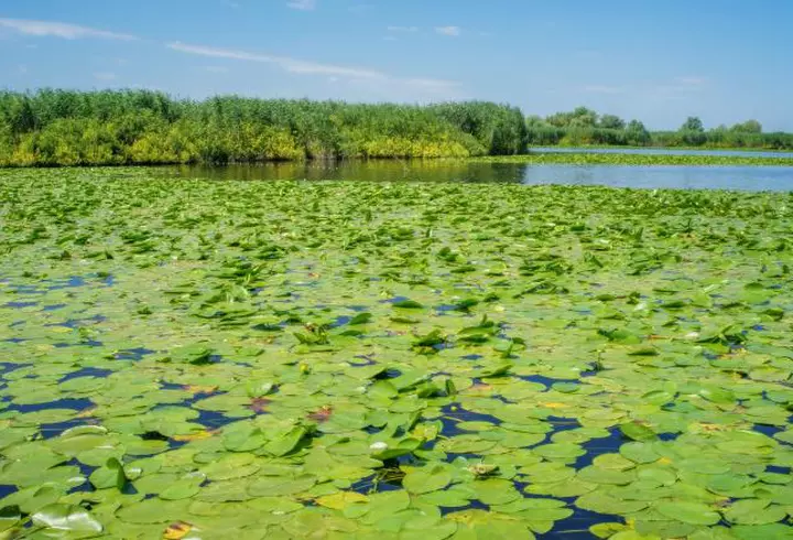 (P) Kerkyra – un muzeu în aer liber