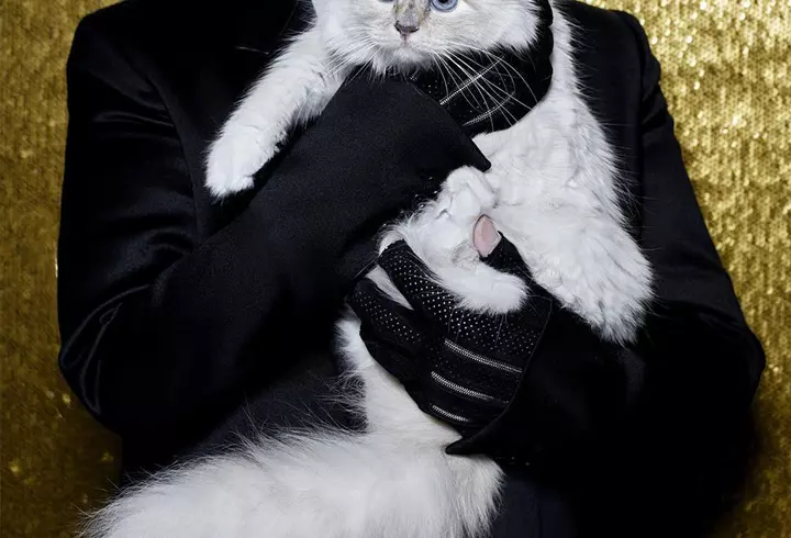 Recomandare de weekend de la Alex Velea