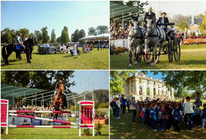 (P) Noutate în turism. Sejur all inclusive în Delta Dunării de la 419 lei de persoană!